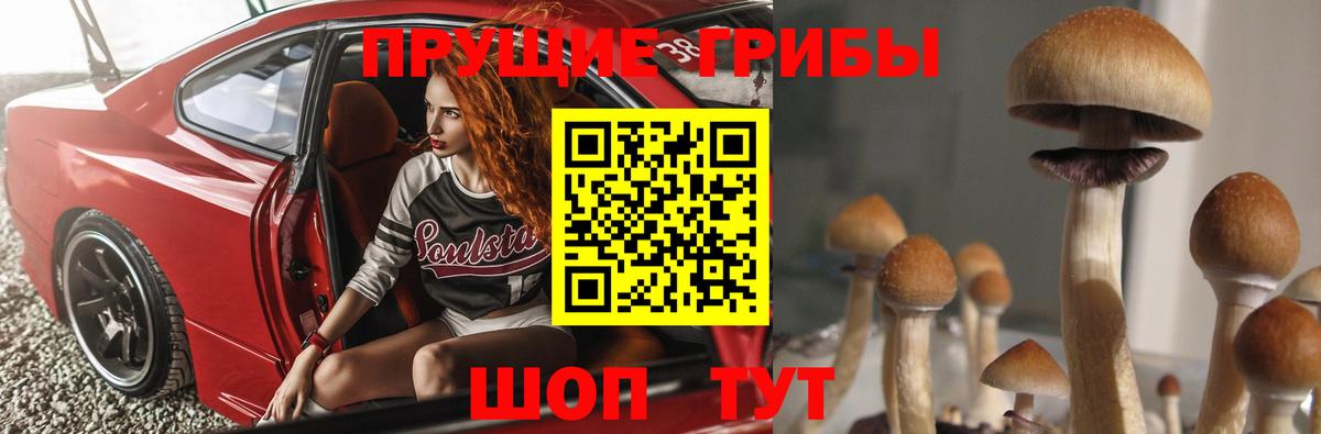где найти   Вход с VPN  Котельники  Галлюциногенные грибы MAGIC MUSHROOMS 