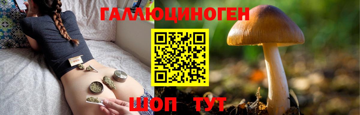 Галлюциногенные грибы MAGIC MUSHROOMS Котельники